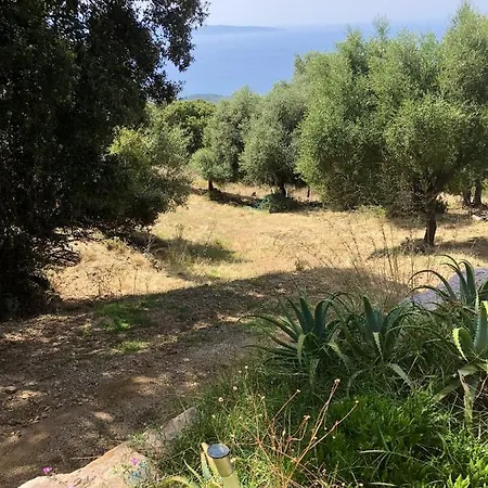 Maison De 3 Chambres Avec Vue Sur La Mer Jardin Clos Et Wifi A Cargese